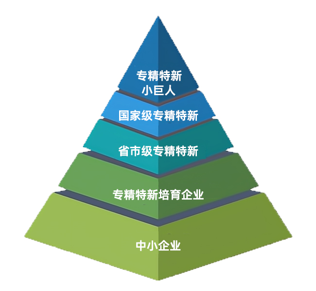 省級名單！莒南這些優(yōu)秀企業(yè)上榜-山東省2023年度專(zhuān)精特新中小企業(yè)公示名單